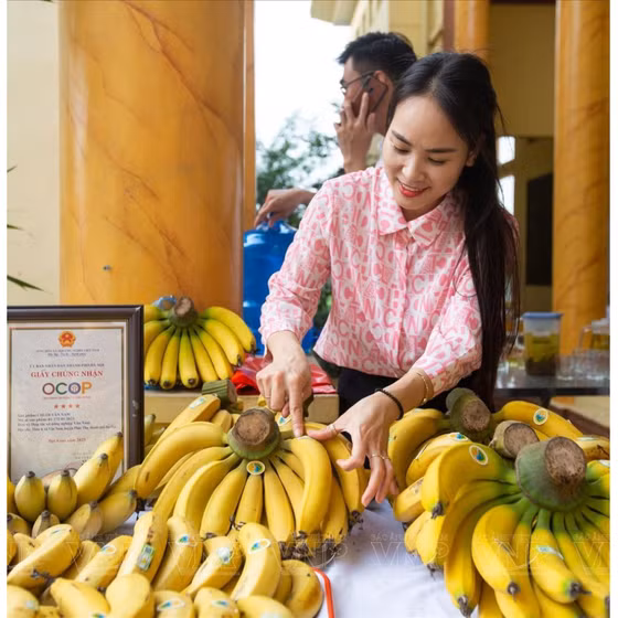 Chuối Vân Nam