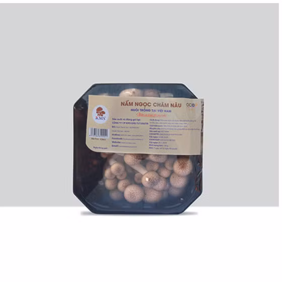 Nấm ngọc châm nâu KMS