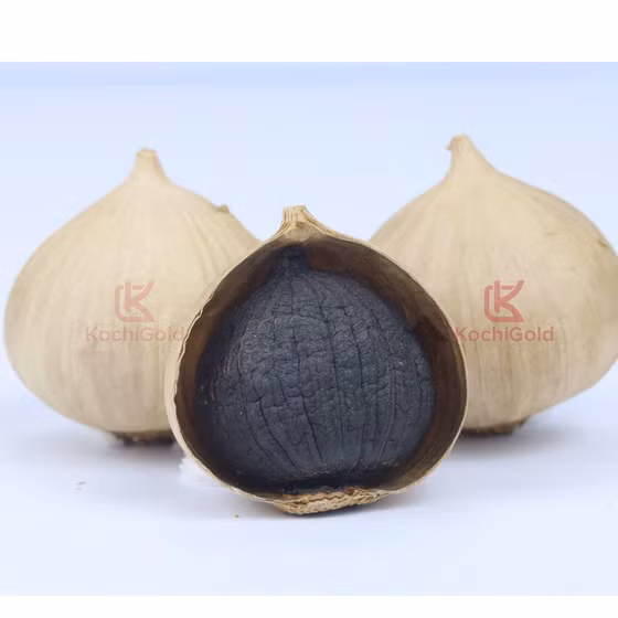Tỏi đen Kochi
