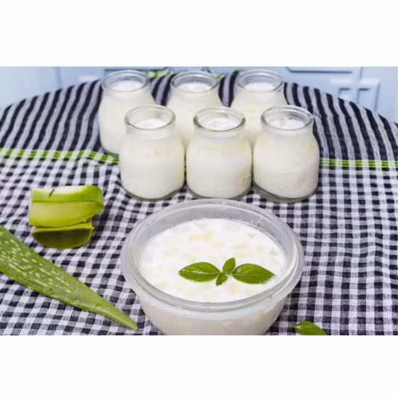 Sữa chua nha đam Myfarm