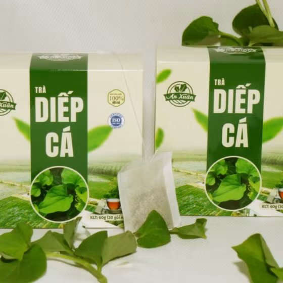 Trà túi lọc diếp cá