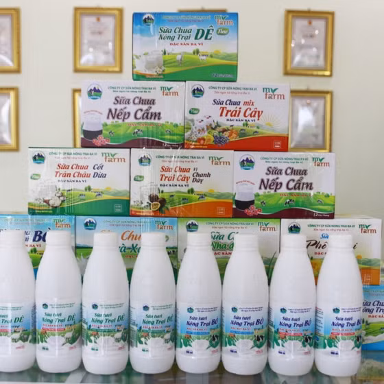 Sữa tươi nông trại bò thanh trùng Myfarm