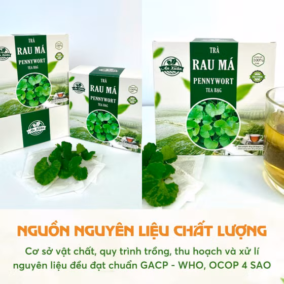 Trà túi lọc rau má