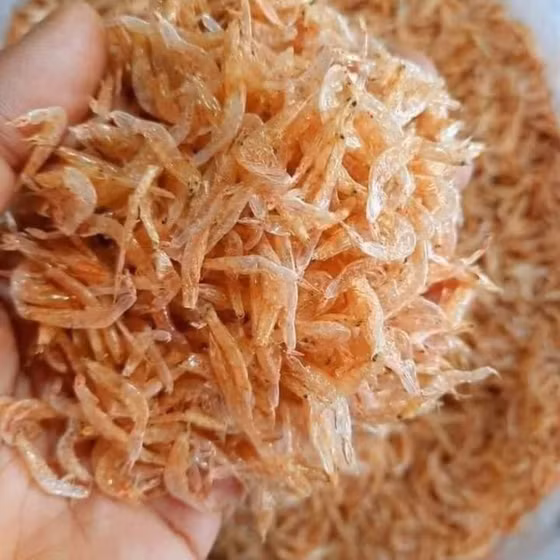 Tép moi Hùng Vương