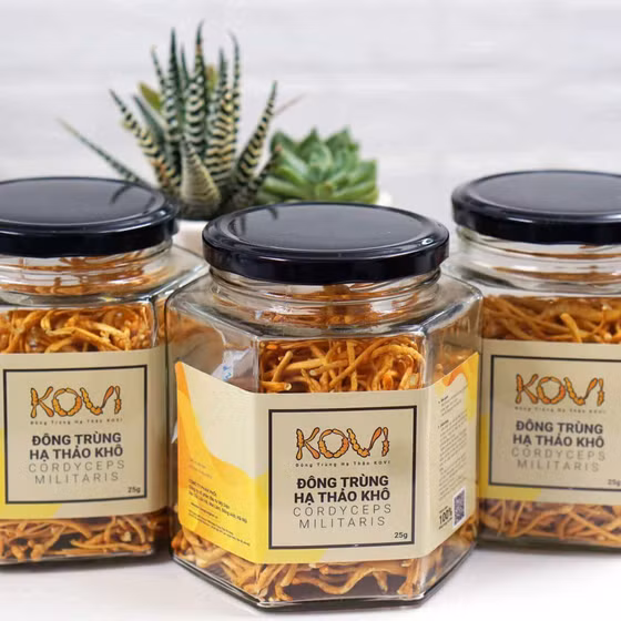 Đông trùng hạ thảo khô KOVI