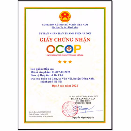 Bầu sao
