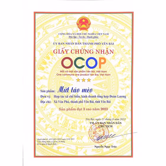 Mứt táo mèo