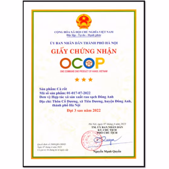 Cà rốt sạch Đông Anh
