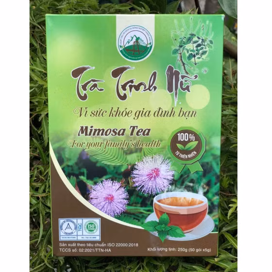 Trà trinh nữ Hùng Anh