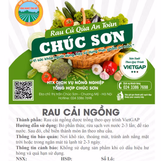 Cải ngồng Chúc Sơn