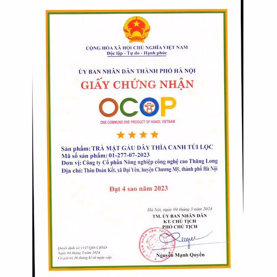 Trà mật gấu dây thìa canh túi lọc