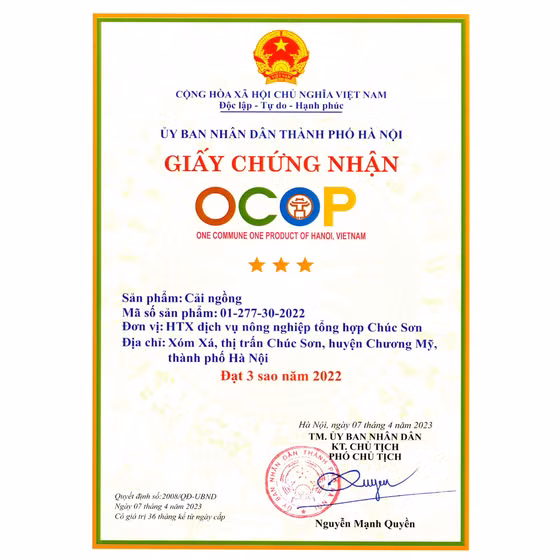 Cải ngồng Chúc Sơn