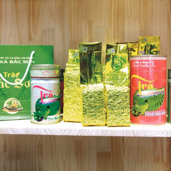 Trà Bắc Sơn