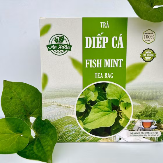 Trà túi lọc diếp cá
