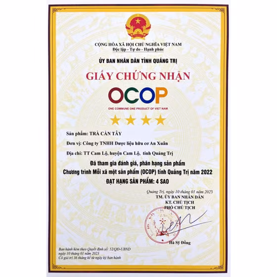 Trà túi lọc cần tây