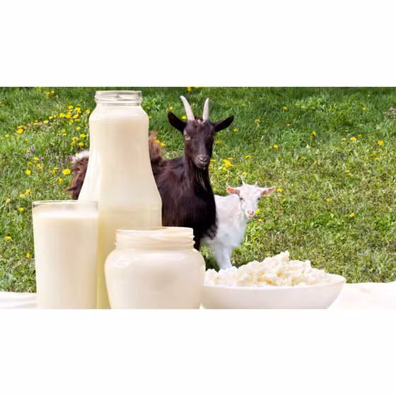 Sữa chua nông trại dê Myfarm