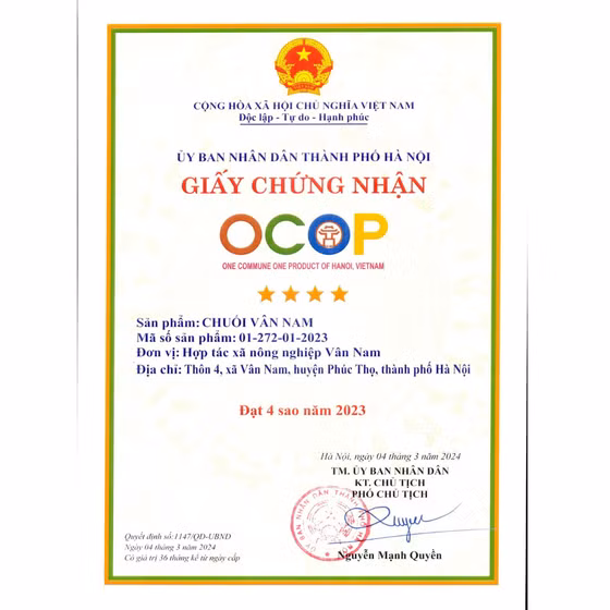 Chuối Vân Nam