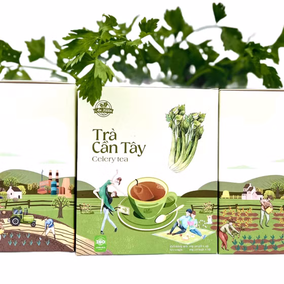 Trà túi lọc cần tây