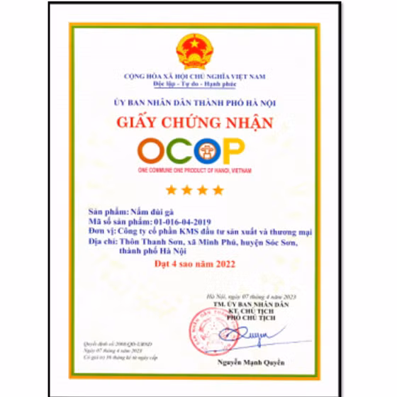Nấm đùi gà