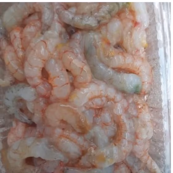 Tôm nõn tươi