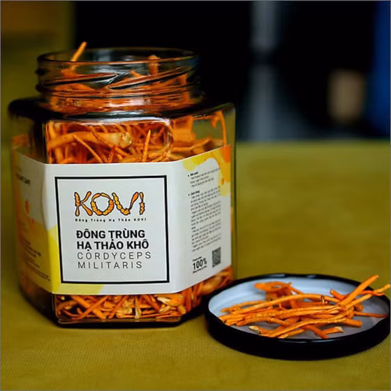 Đông trùng hạ thảo khô KOVI
