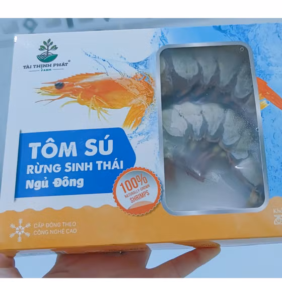 Tôm sú rừng sinh thái ngủ đông