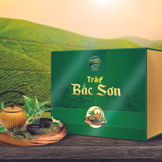 Trà Bắc Sơn