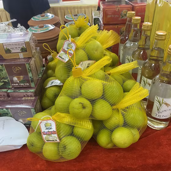 Táo Động Tiên