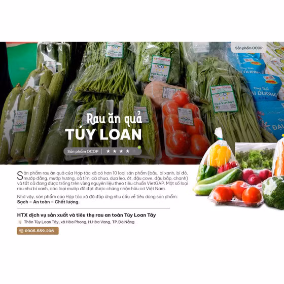 Rau mồng tơi Túy Loan