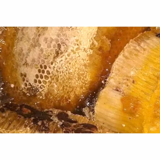 Mật ong Tuyên Hóa