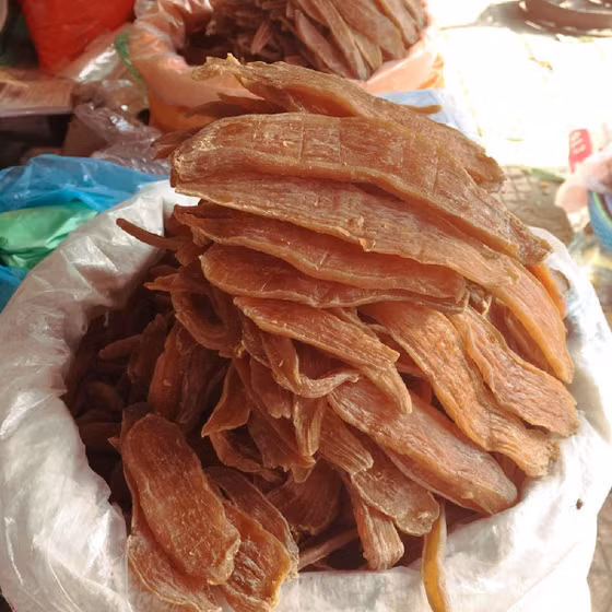 Khoai gieo Hải Ninh Linh Huệ