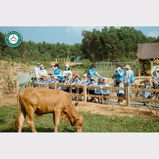 Bana Rita Farm