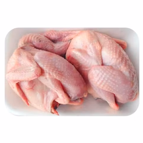 Thịt bồ câu Thủy Mộc
