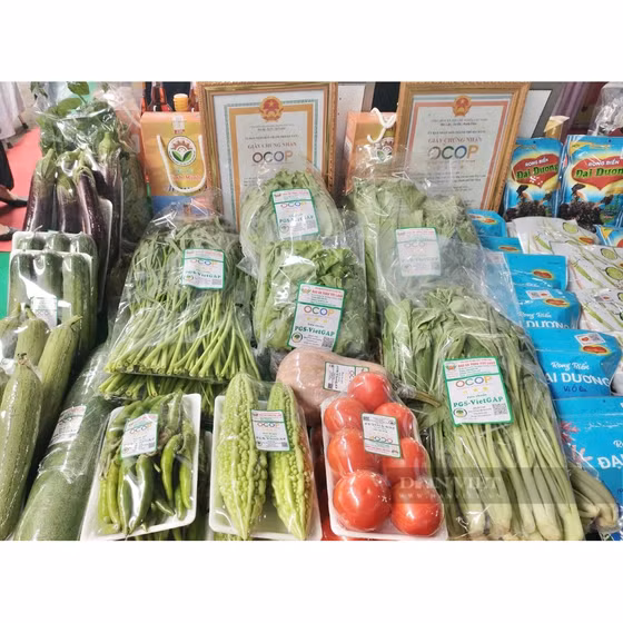 Rau mồng tơi Túy Loan