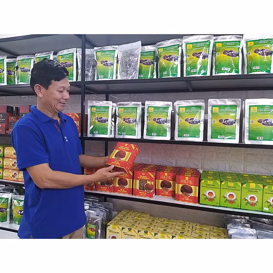 Nấm linh chi thái lát nguyên bào tử Tuấn Linh