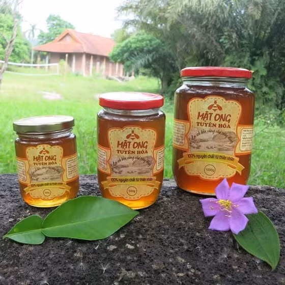 Mật ong Tuyên Hóa
