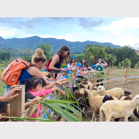 Bana Rita Farm