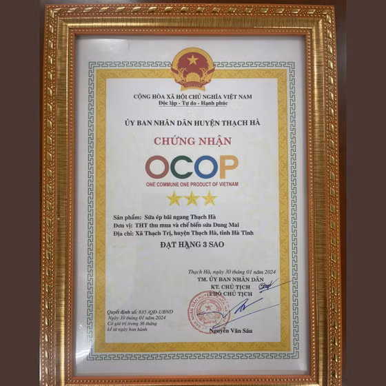 Sứa ép bãi ngang Thạch Hà