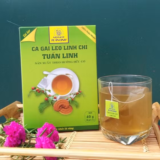 Trà cà gai leo linh chi Tuấn Linh