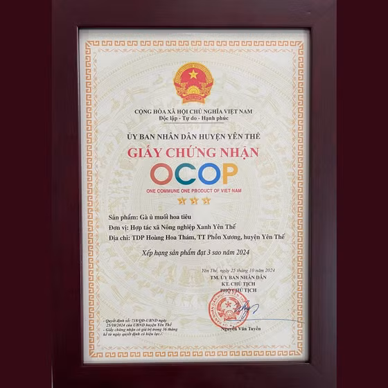 Gà ủ muối hoa tiêu Yên Thế