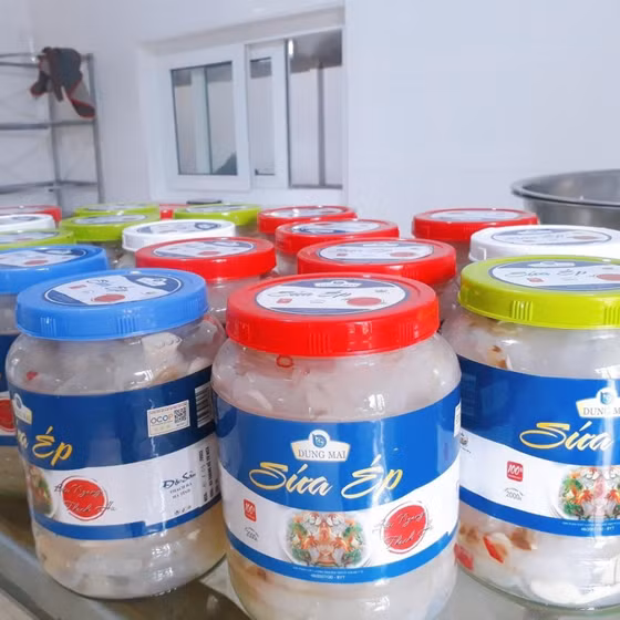 Sứa ép bãi ngang Thạch Hà