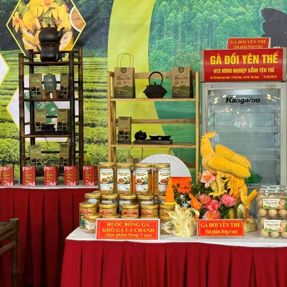 Ruốc bông gà Yên Thế