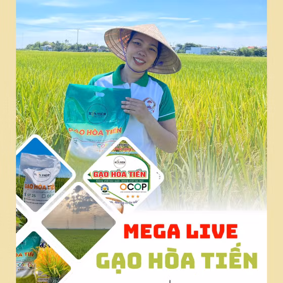 Gạo Hòa Tiến