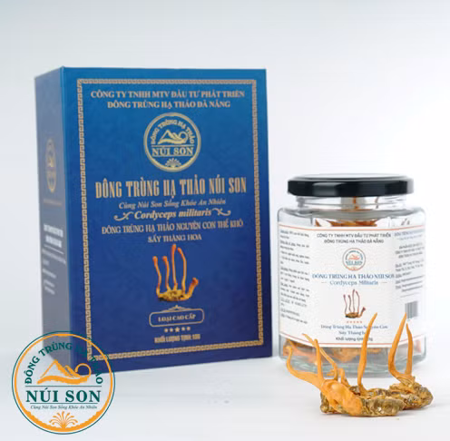 Đông trùng hạ thảo sấy thăng hoa Núi Son