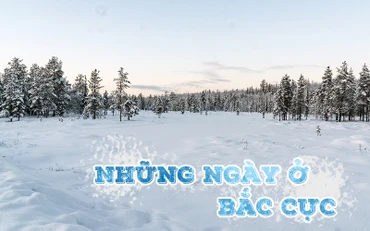 Những ngày ở Bắc Cực