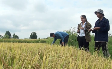 Ksor Y Rít (bên phải ảnh), trưởng buôn Lê Diêm, thị trấn Hai Riêng, huyện Sông Hinh (Phú Yên) trao đổi kỹ thuật trồng lúa nước với cán bộ Phòng Nông nghiệp và Phát triển nông thôn huyện. Ảnh: TRÌNH KẾ