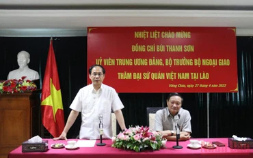 Bộ trưởng Ngoại giao Bùi Thanh Sơn (trái) nhấn mạnh cần chuẩn bị tốt các hoạt động kỷ niệm trong Năm Đoàn kết Hữu nghị 2022.  (Ảnh: XUÂN SƠN)
