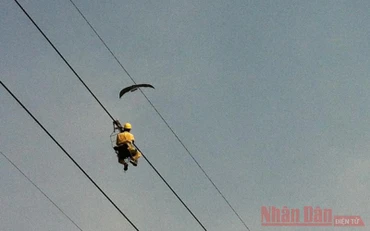 Nhân viên Truyền tải điện Đông Bắc 3 vất vả tháo gỡ những chiếc diều mắc vào đường dây