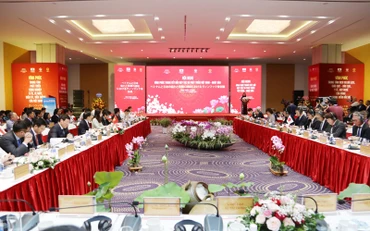 Toàn cảnh hội nghị.