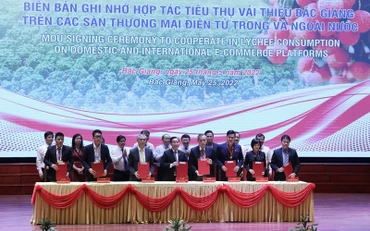 Ký kết hợp tác tiêu thụ vải thiều năm 2022.